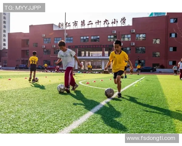《从棒球场到人生赛道：探索运动精神与团队协作的深刻意义》